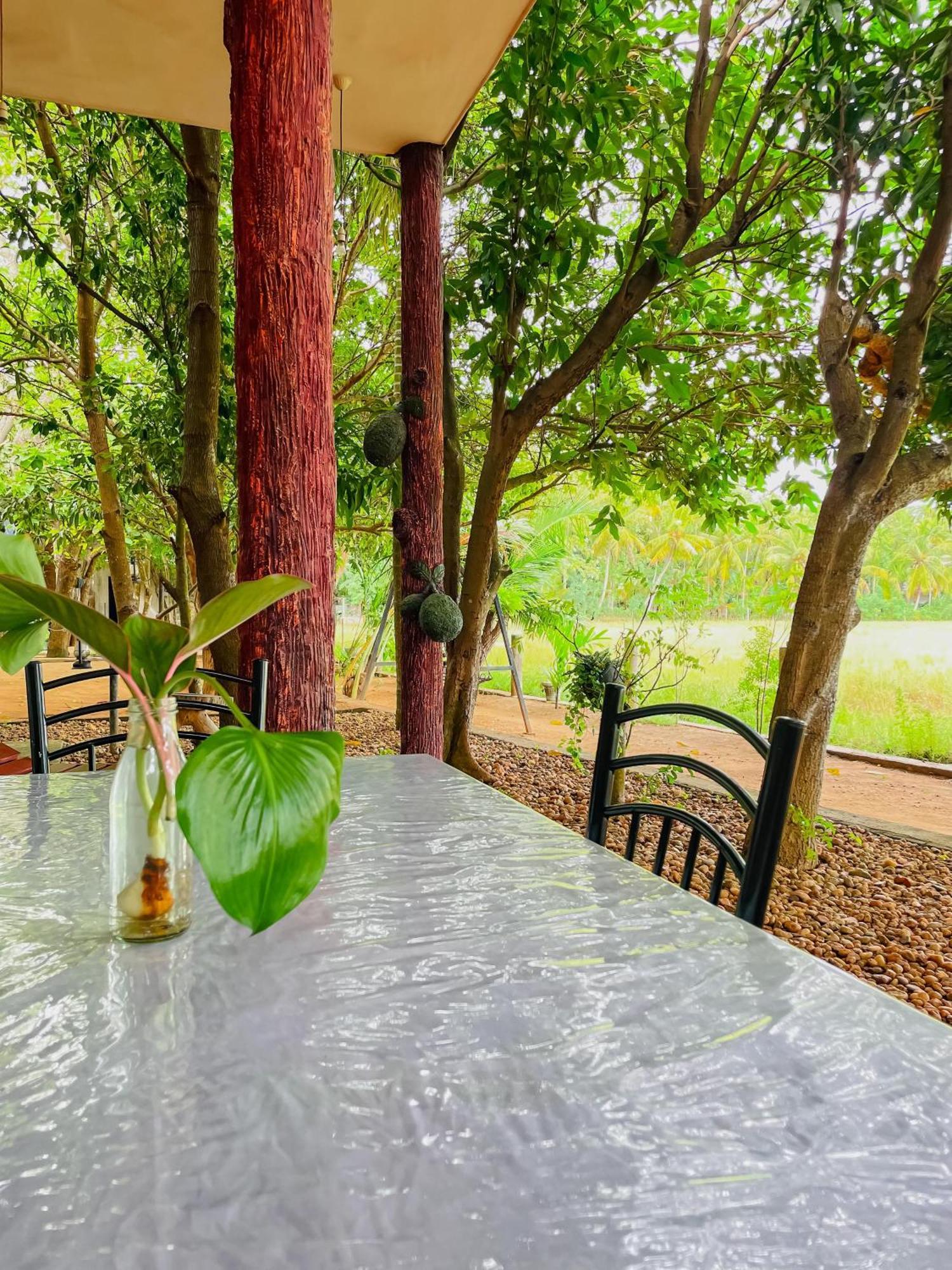 V Cabanas & Yala Safari Place Тисамахарама Екстериор снимка