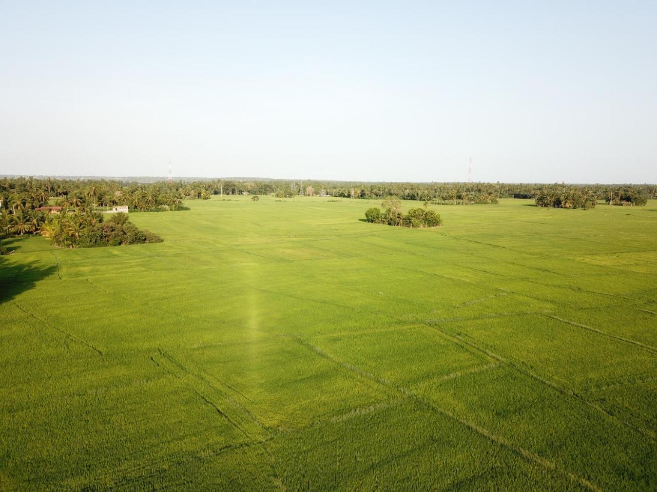 V Cabanas & Yala Safari Place Тисамахарама Екстериор снимка