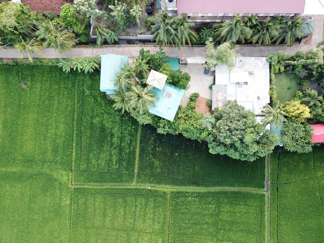 V Cabanas & Yala Safari Place Тисамахарама Екстериор снимка